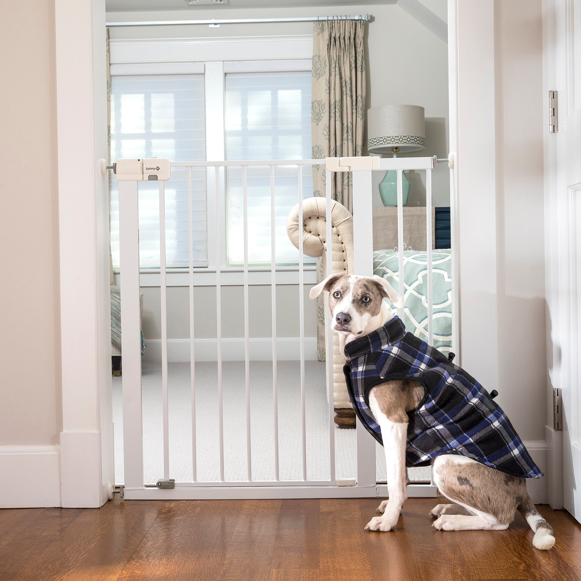 dog wearing jacket sitting outside living room with baby gate