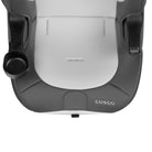 Cosco Finale 2-in-1 Booster Car Seat Black Fox