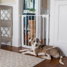 dog laying down next to pressure mounted baby gate inside
