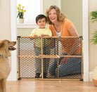 Toddler and mom behind a gate between them and the family dog